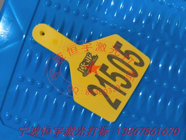 塑料產(chǎn)品鐳射打標(biāo)